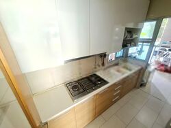 Clover By The Park (D20), Condominium #545416941